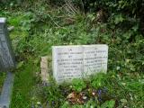 image of grave number 102034